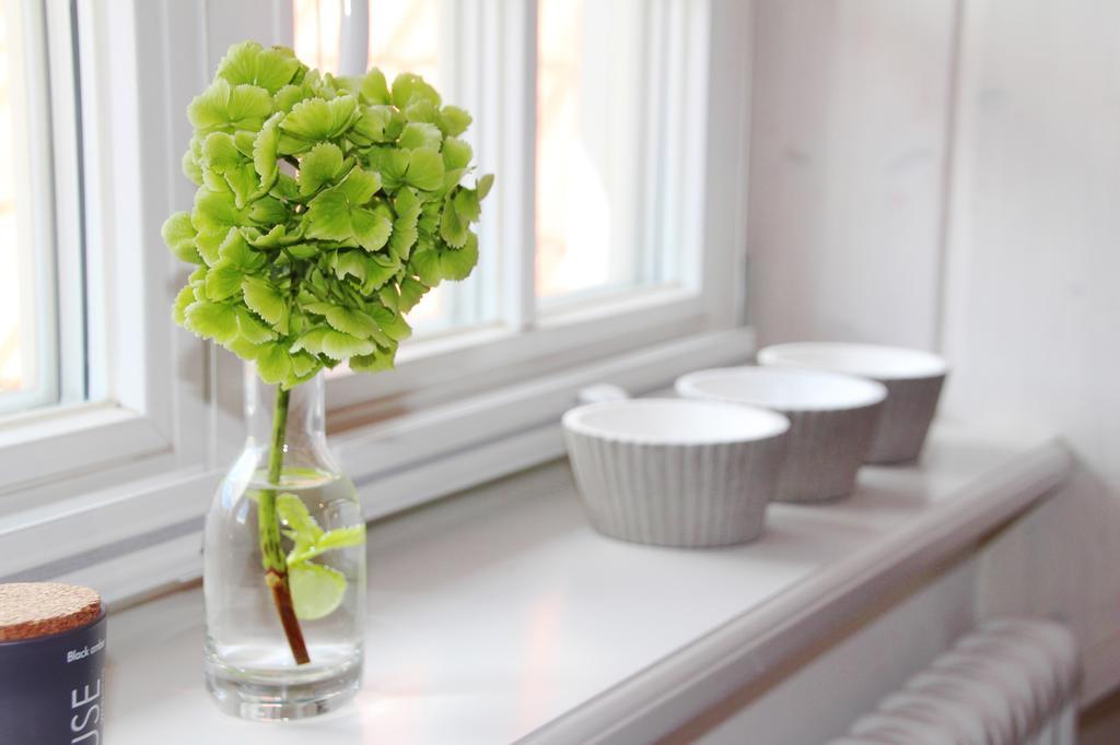 Vaelkommen Stralsund Habitación foto